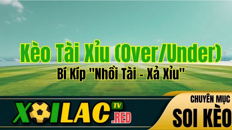 Kèo Tài Xỉu (Over/Under) Là Gì? Bí Kíp "Nhồi Tài - Xả Xỉu" Đỉnh Cao Tại Xoilac TV
